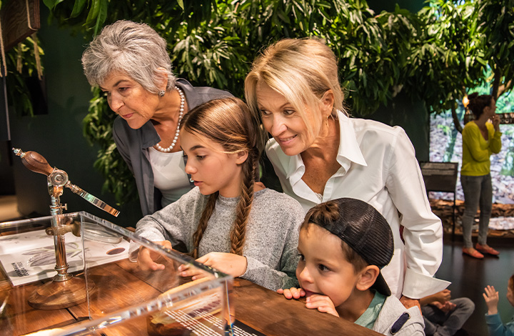 Circuit autour du chocolat billet famille