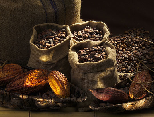 Meilers fezes de cacao pour le chocolat lindt